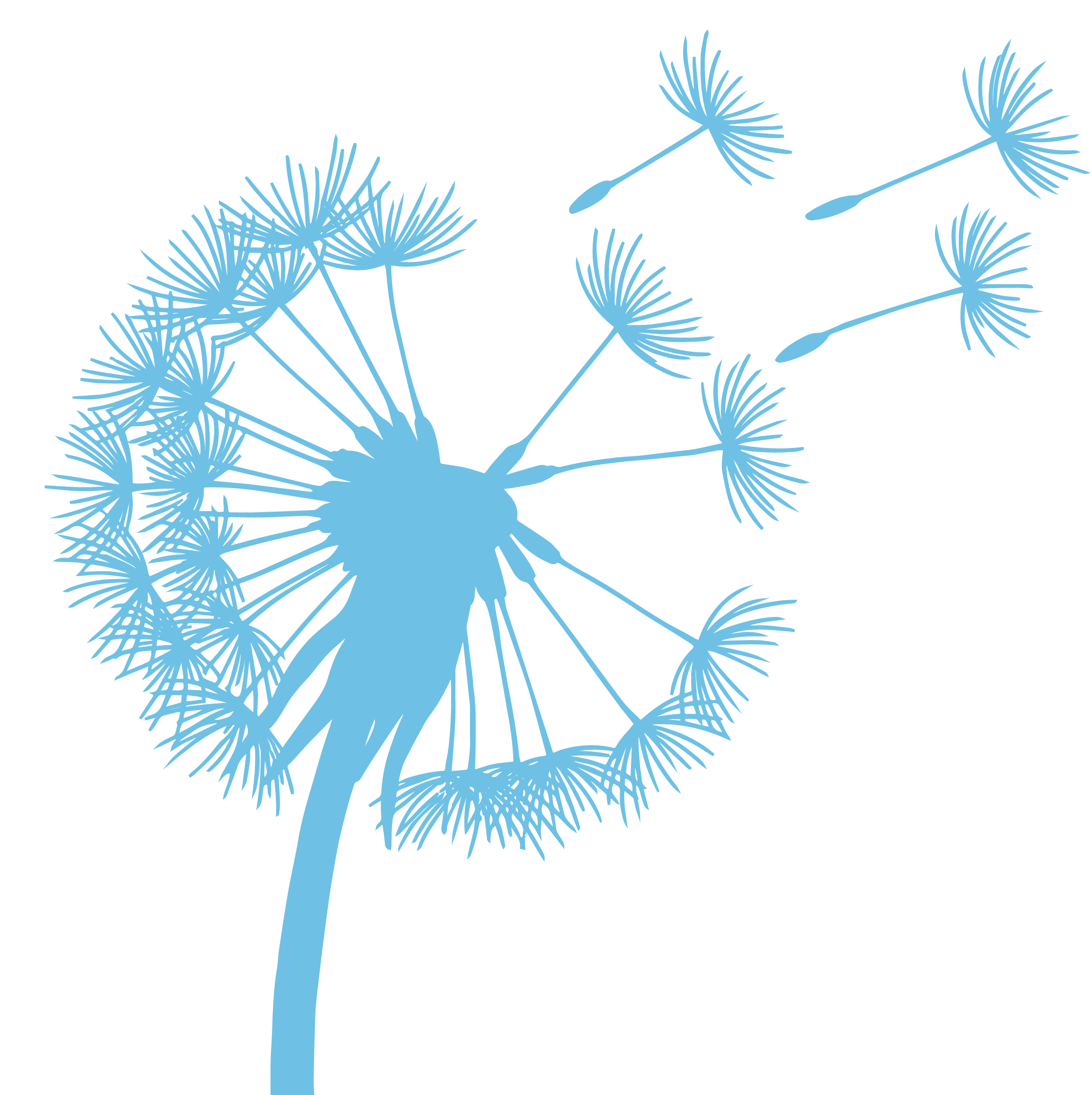 Psychotherapie Dr. Riedel